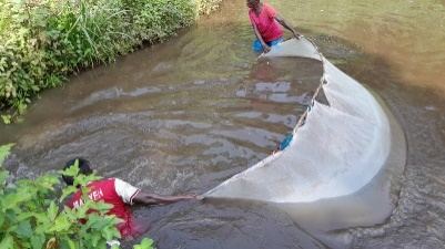 Fish ponds