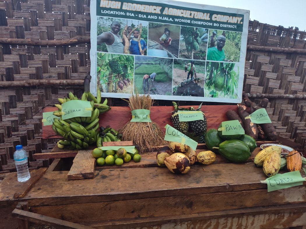 Harvest display of local produce