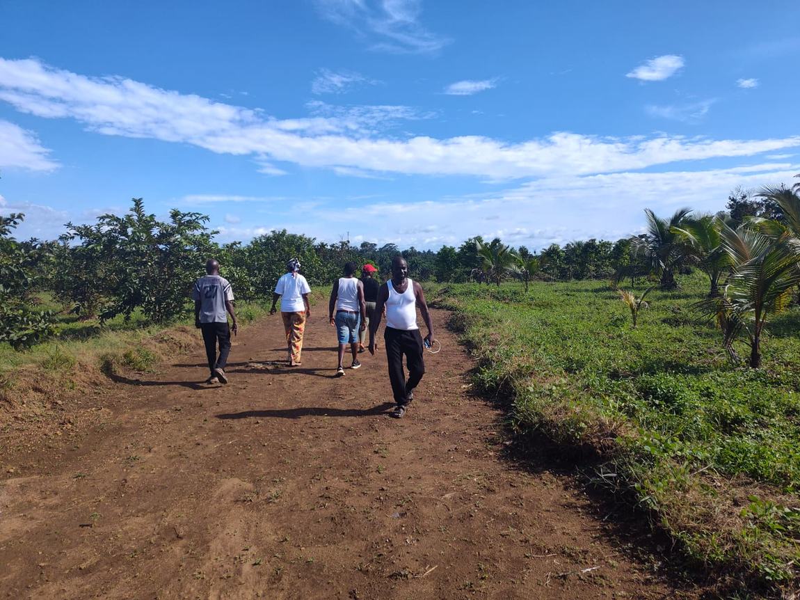 Walking a nature trail across the farm